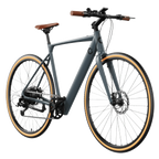 Bicicleta eléctrica Sprint Silver