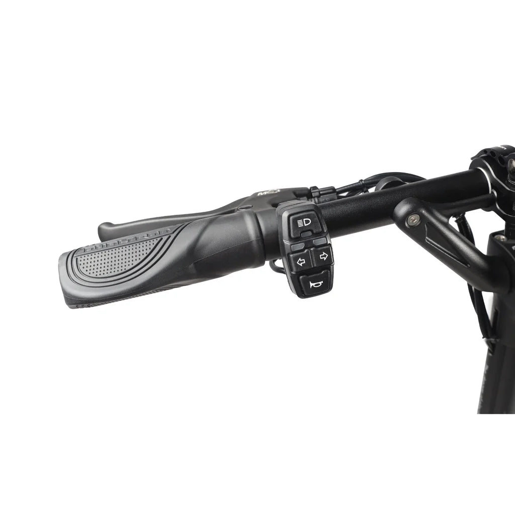 ELECTRIC SCOOTER DUALTRON AMINIA DUAL MOTOR 52V 15,6 Ah IPX5