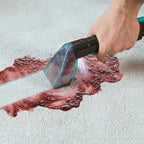 Conga 5000 Carpet&Spot Clean XXL