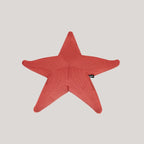 Estrella flotante Starfish