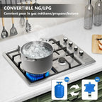 Plaque de cuisson gaz IsEasy MGBS-314A 4 feux Inox