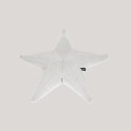 Estrella flotante Starfish