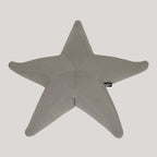 Estrella flotante Starfish