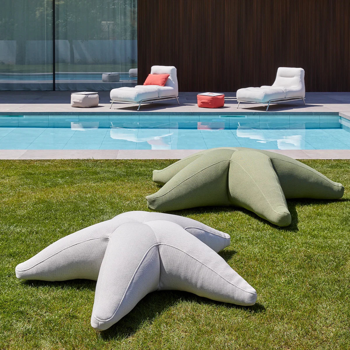Estrella flotante Starfish