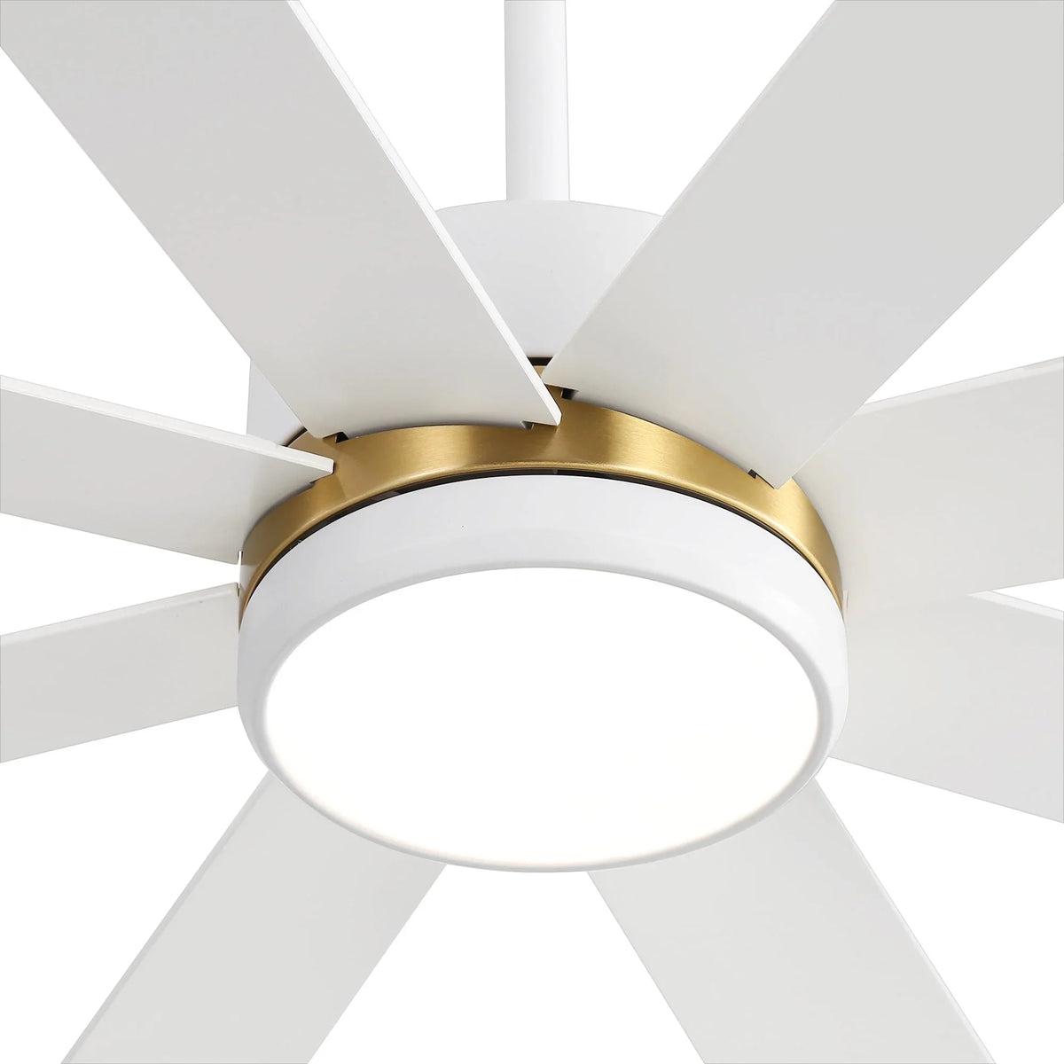 65 Inch 8-Blade Black LED Ceiling Fan with Light and Remote
