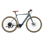 Bicicleta eléctrica Sprint Silver