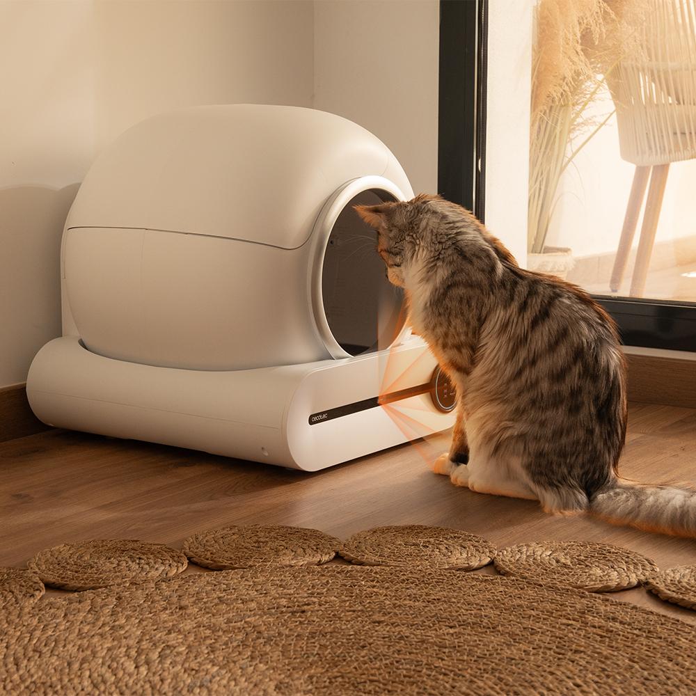 Pumba 8500 CleanKitty Smart