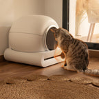 Pumba 8500 CleanKitty Smart