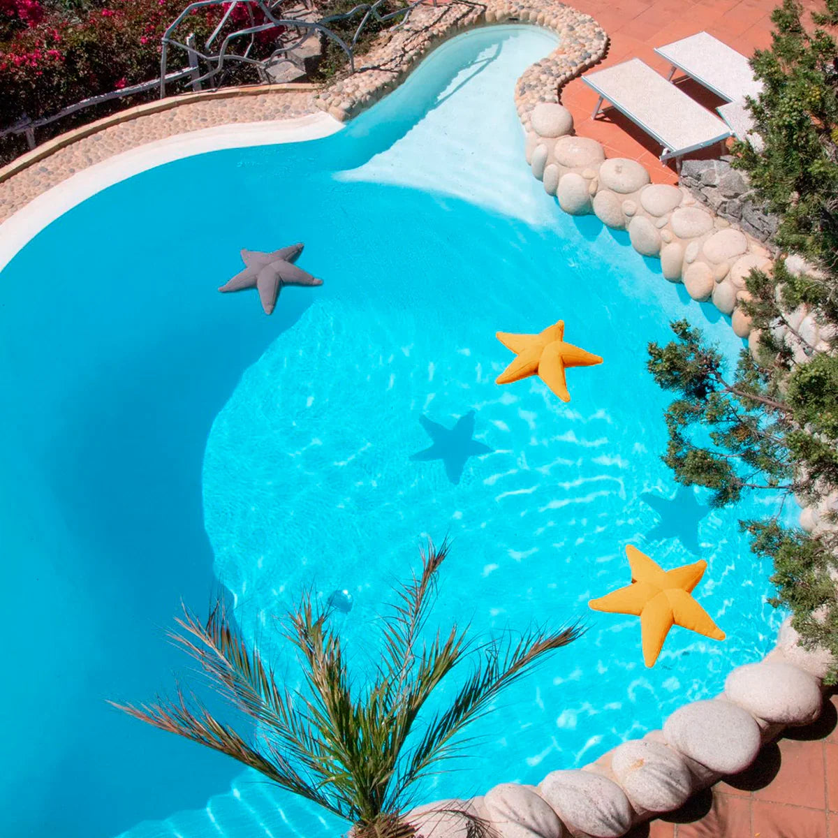 Estrella flotante Starfish