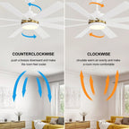 65 Inch 8-Blade Black LED Ceiling Fan with Light and Remote