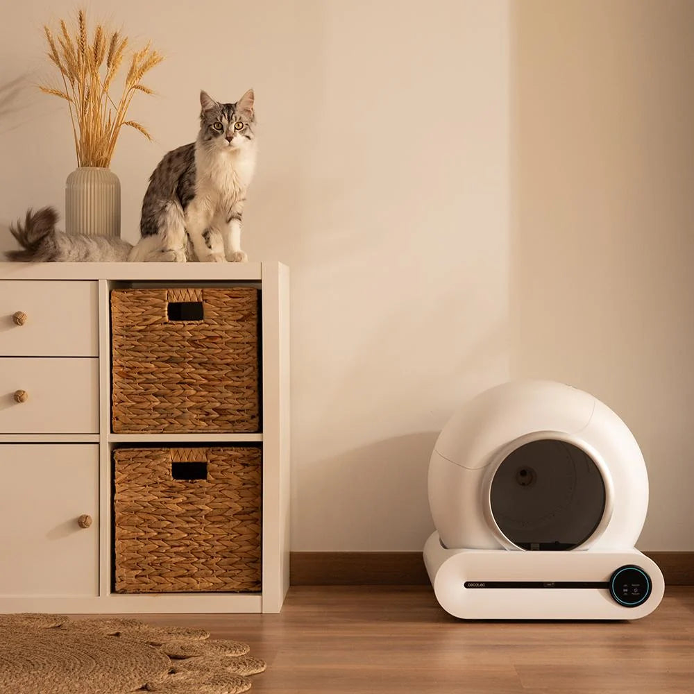 Pumba 8500 CleanKitty Smart