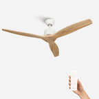 Brizy Light Wood