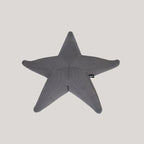 Estrella flotante Starfish