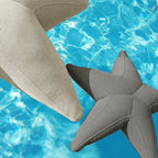 Estrella flotante Starfish