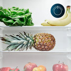 Bolero CoolMarket TT 114 L Inox
