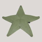 Estrella flotante Starfish