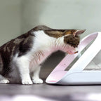 Sure PetCare | Distributeur de Nourriture Connect à Puce électronique SureFeed, Compatible avec Les médaillons d'identification par radiofréquence, contrôle par Application Mobile, Blanc