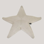 Estrella flotante Starfish