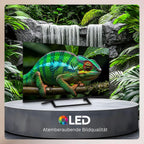 Smart Tech QLED 43QG06V2 Téléviseur Google TV HDR avec résolution 4K UHD, Bluetooth et Triple Tuner, Smart TV 43QG06V2 (2026)