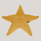 Estrella flotante Starfish