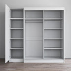2-Door Wardrobe with Mirror, Glass Front, 2-Person (Gray / Black / White)