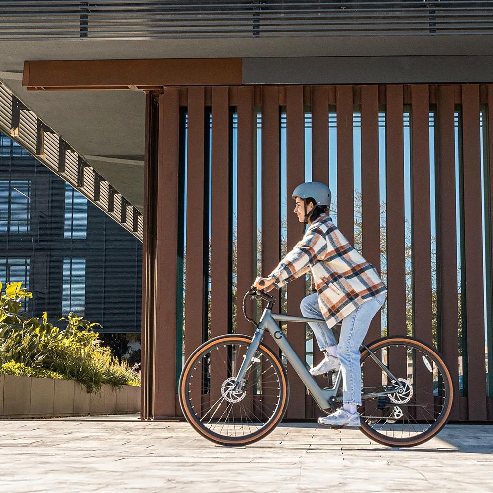 Bicicleta eléctrica Sprint Silver