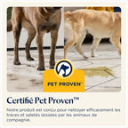 BISSELL SpotClean Pet Pro, Shampouineuse Canapé, Moteur Puissant de 750W, Idéal pour les Propriétaires d'Animaux, Nettoyeur pour Tapis, Moquettes, Meubles, Tissus, Voiture & Plus Encore, 15585