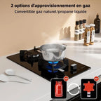 Plaque gaz WEHIMO 2 feux encastrable verre trempé